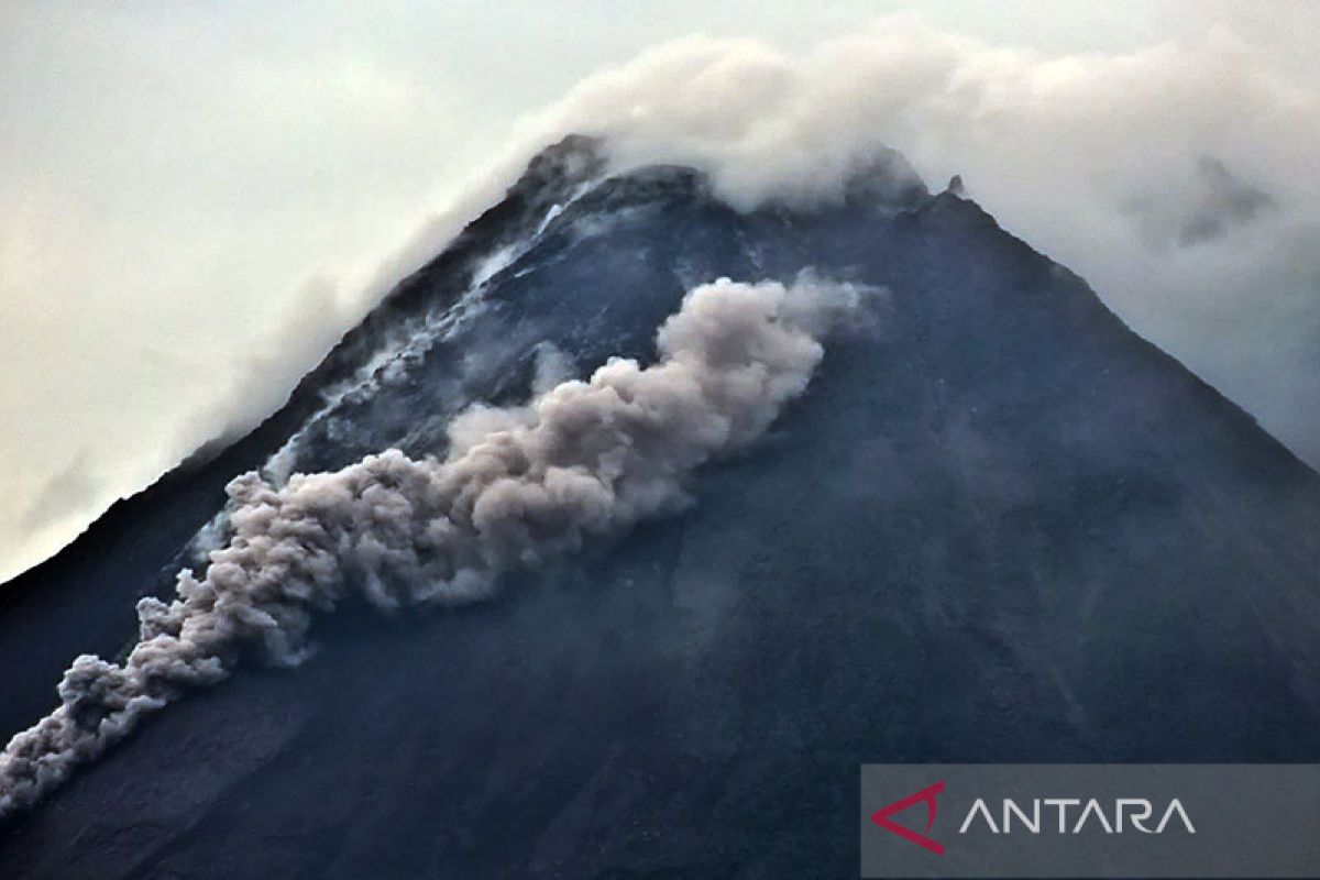Gunung Merapi luncurkan awan panas guguran beruntun pada Jumat pagi