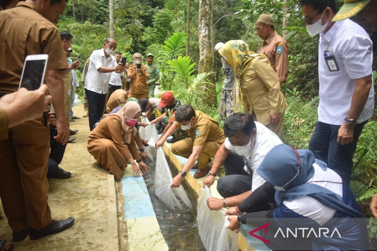 PTBA serahkan bantuan bibit ikan nila untuk Desa Rantih Sawahlunto