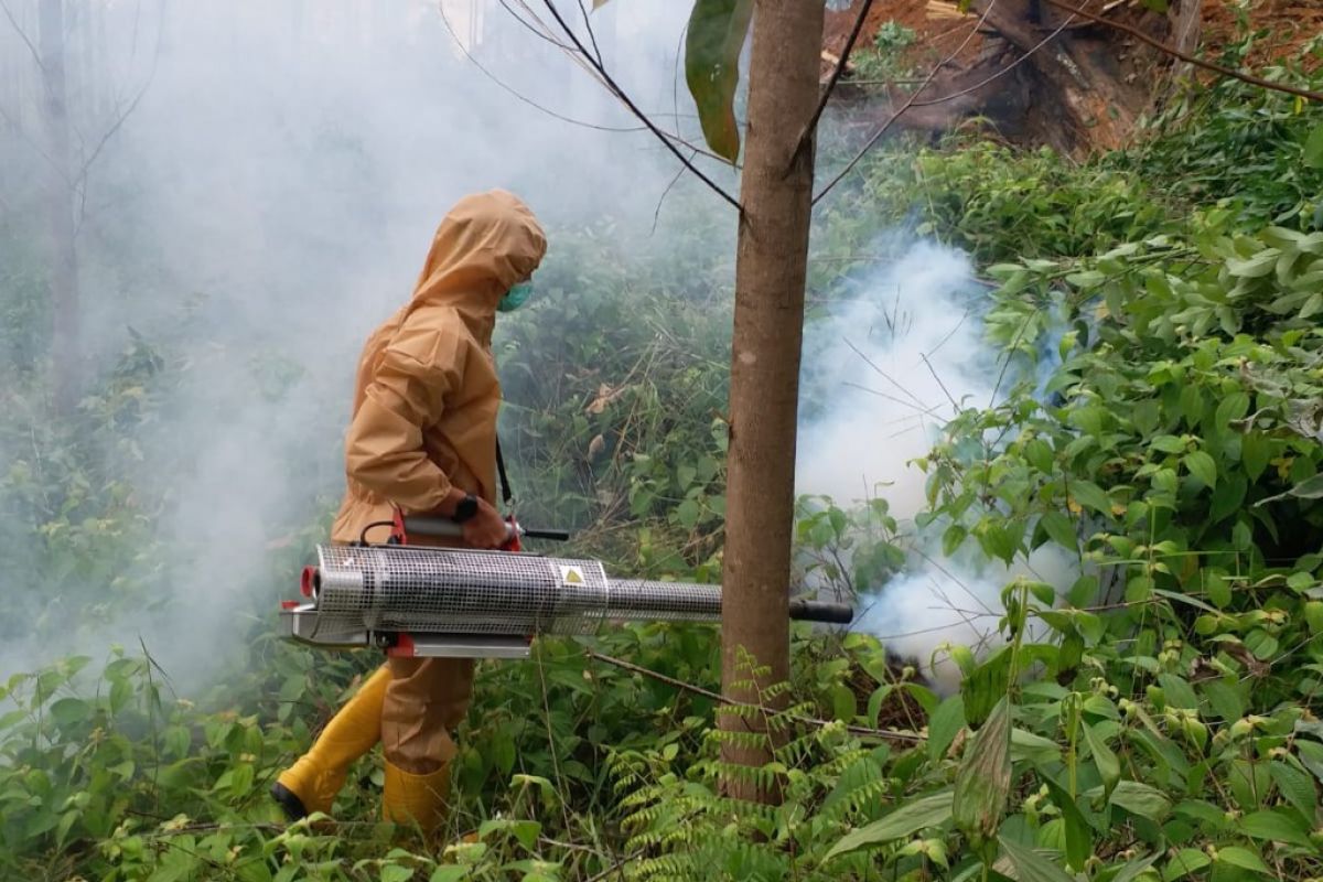 Kawasan kemah Presiden Joko Widodo steril dari malaria