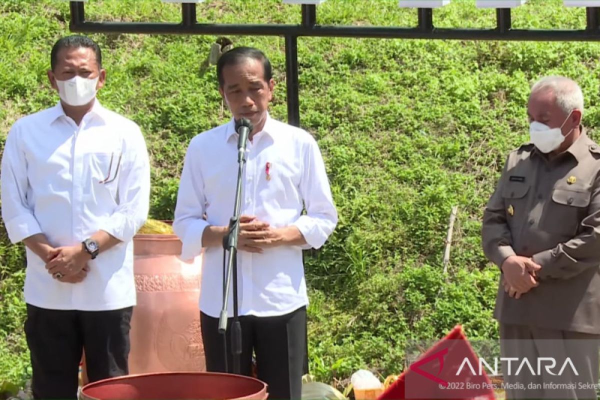 Presiden: Penyatuan tanah dan air di IKN Nusantara bentuk kebinekaan