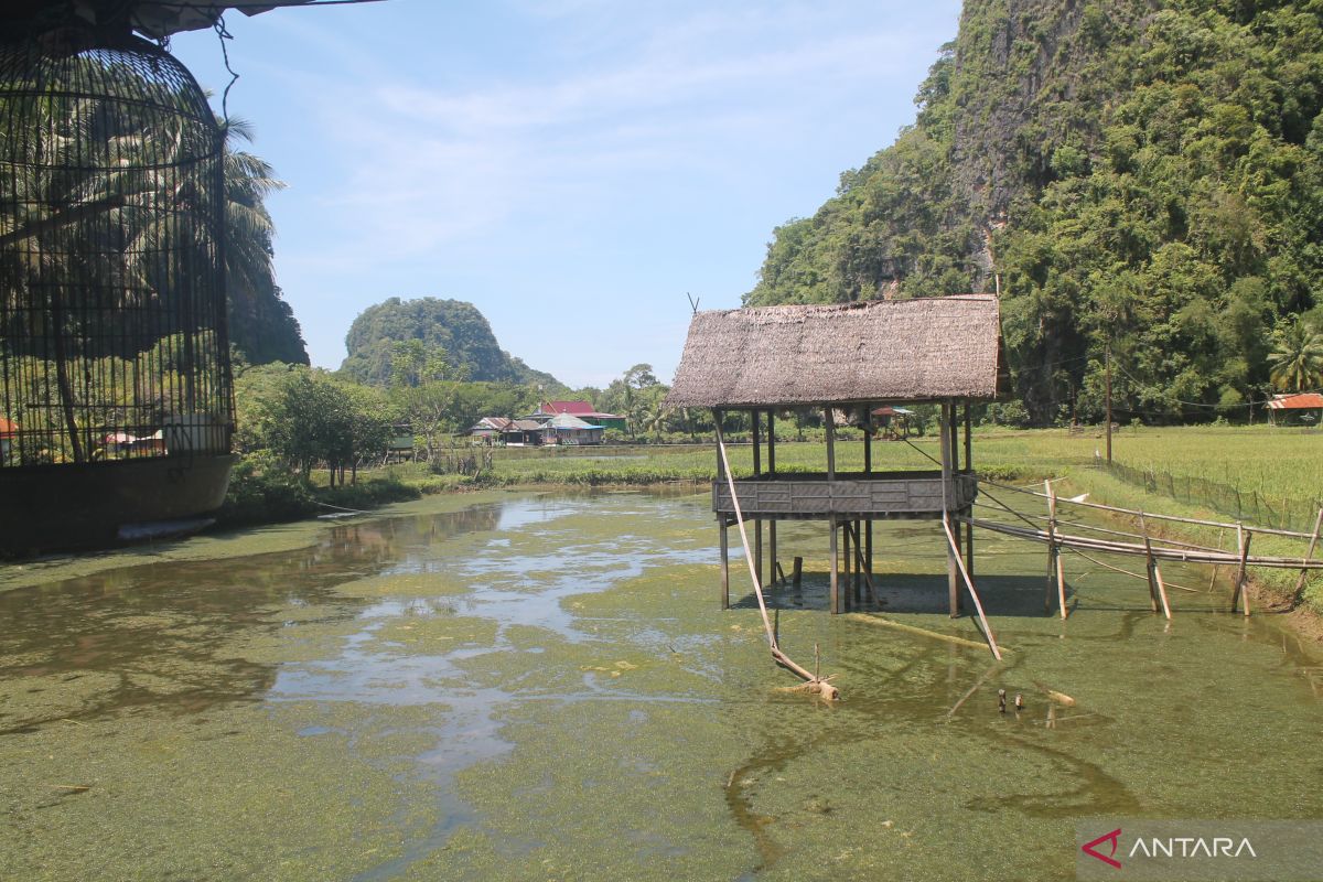 Disparpora Maros gandeng  BUMDes edukasi masyarakat tentang ekowisata