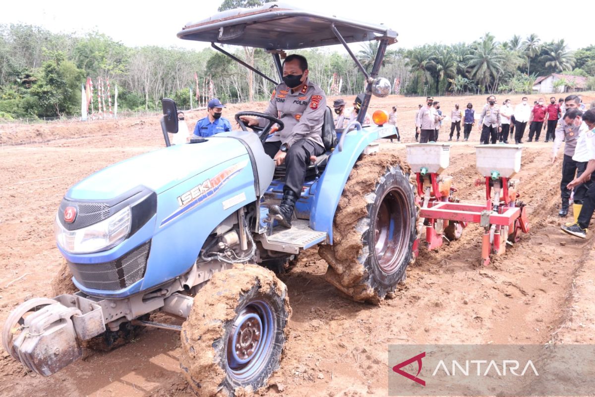 Dinas Pertanian Sumsel latih  polisi bertani jagung