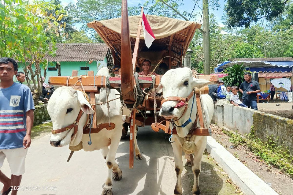 Desa Bengking Klaten jadi pionir Desa Agro Eduwisata