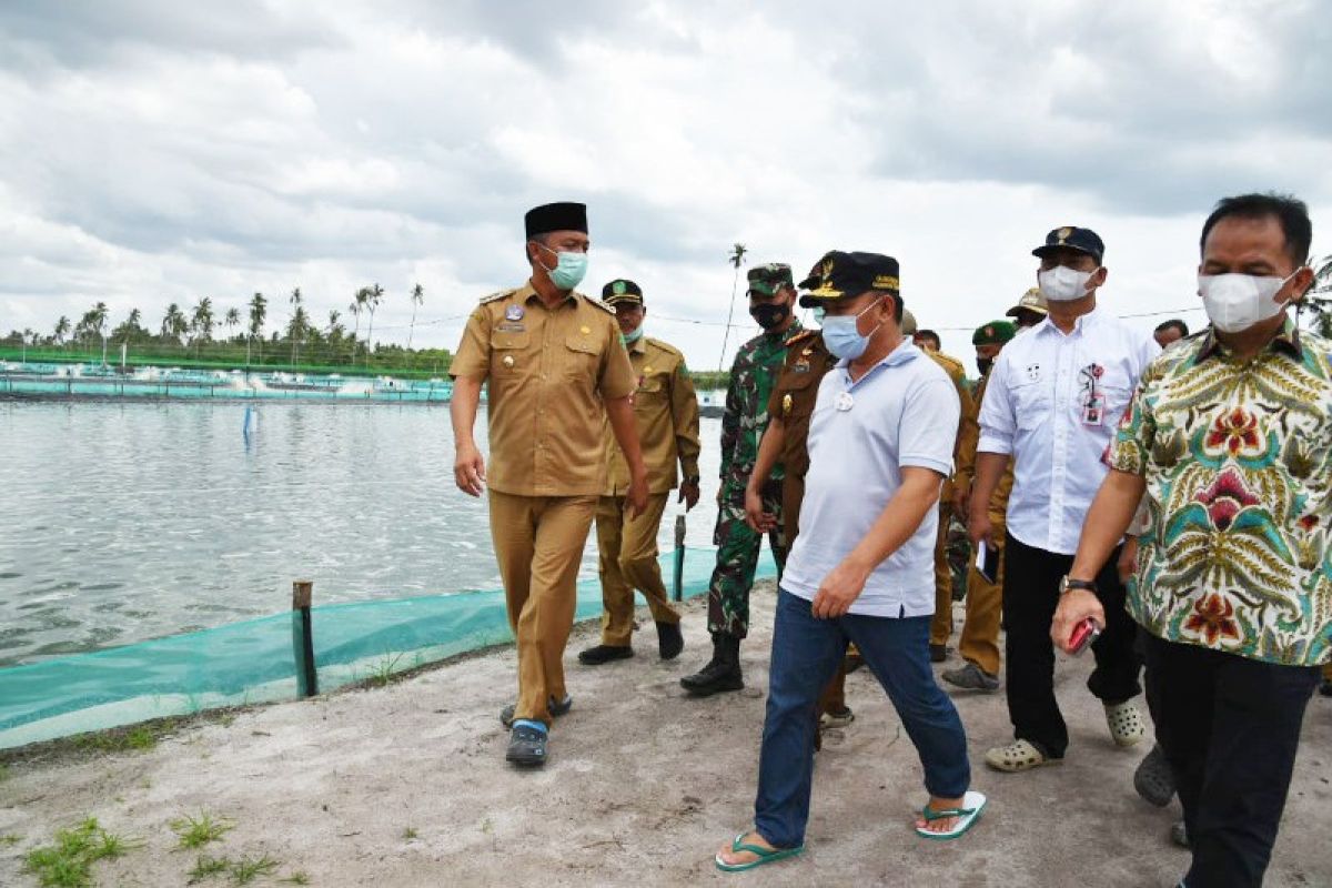 Kawasan tambak udang Kalteng mulai dibangun April 2022