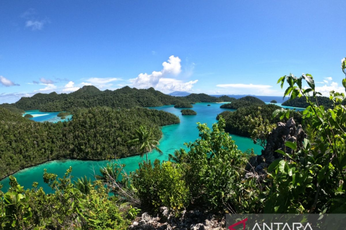 Kepala daerah harap Otsus Papua memberi kewenangan bagi pemda