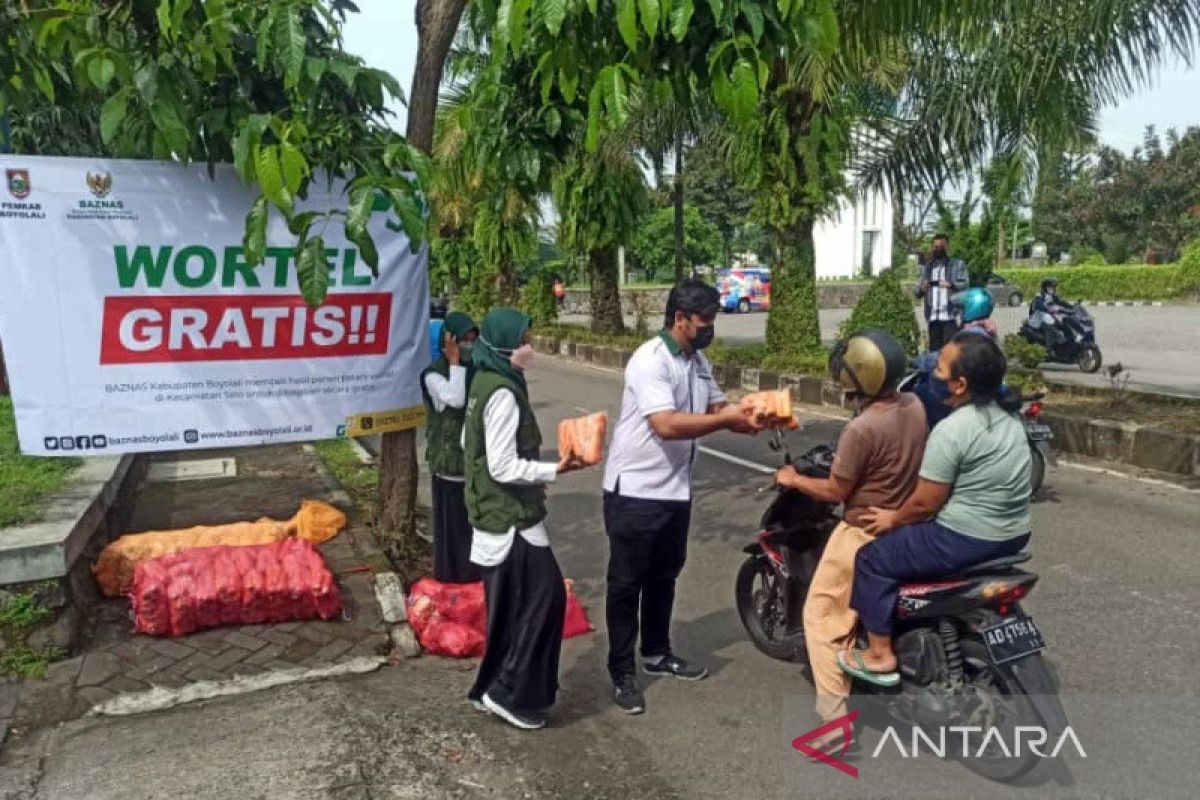 Baznas Boyolali bantu petani wortel  beli Rp4.000/kg