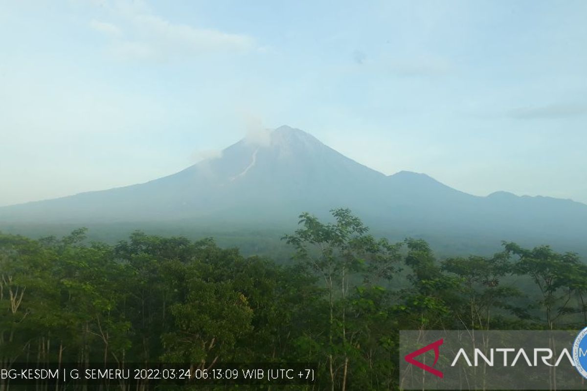 Gunung Semeru meletus sebanyak 24 kali