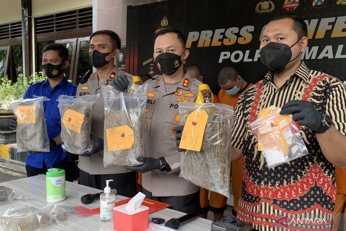 Polres Malang membekuk jaringan pengedar ganja