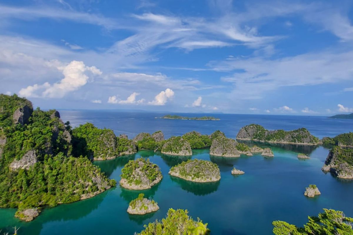 Penantian endemi desa wisata spesies di Raja Ampat