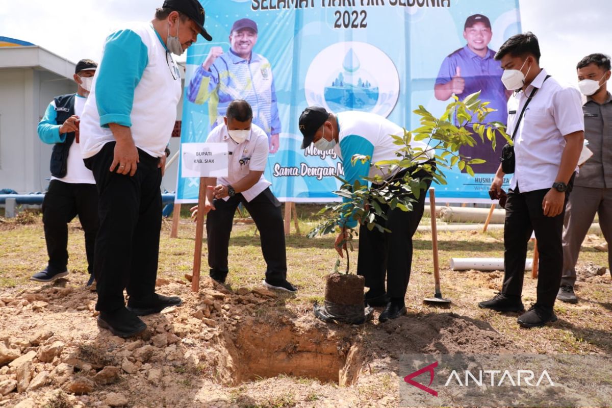 Peringatan Hari Air sedunia di Siak, ada pemasangan Biopori dan penanaman pohon