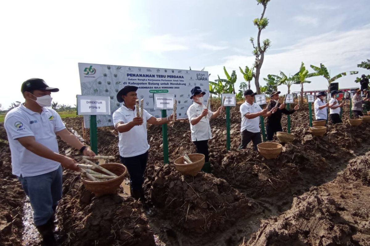 PTPN IX - Batang kerja sama perluasan areal tanam tebu