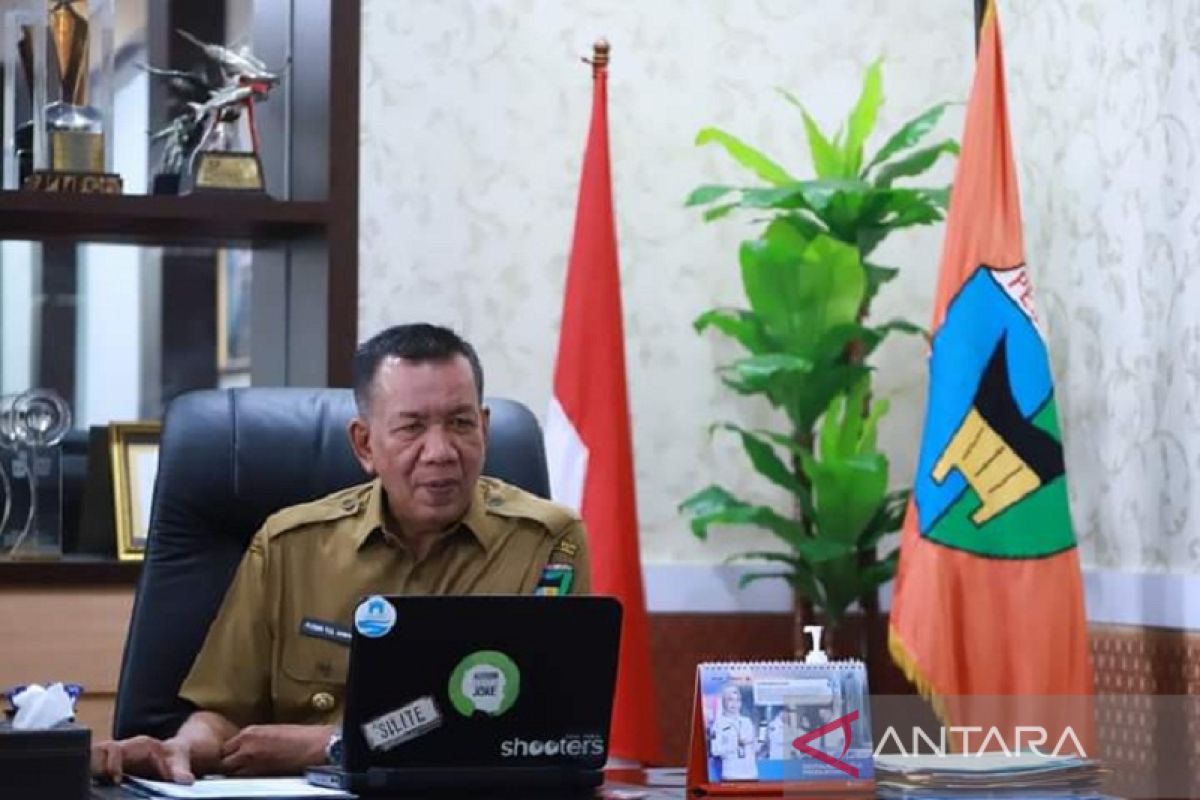 Bupati: Peran pemuda sangat vital bagi pembangunan