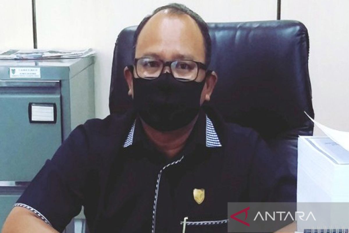 Legislator Kalteng usul rute penerbangan Palangka Raya-Kaltim dibuka