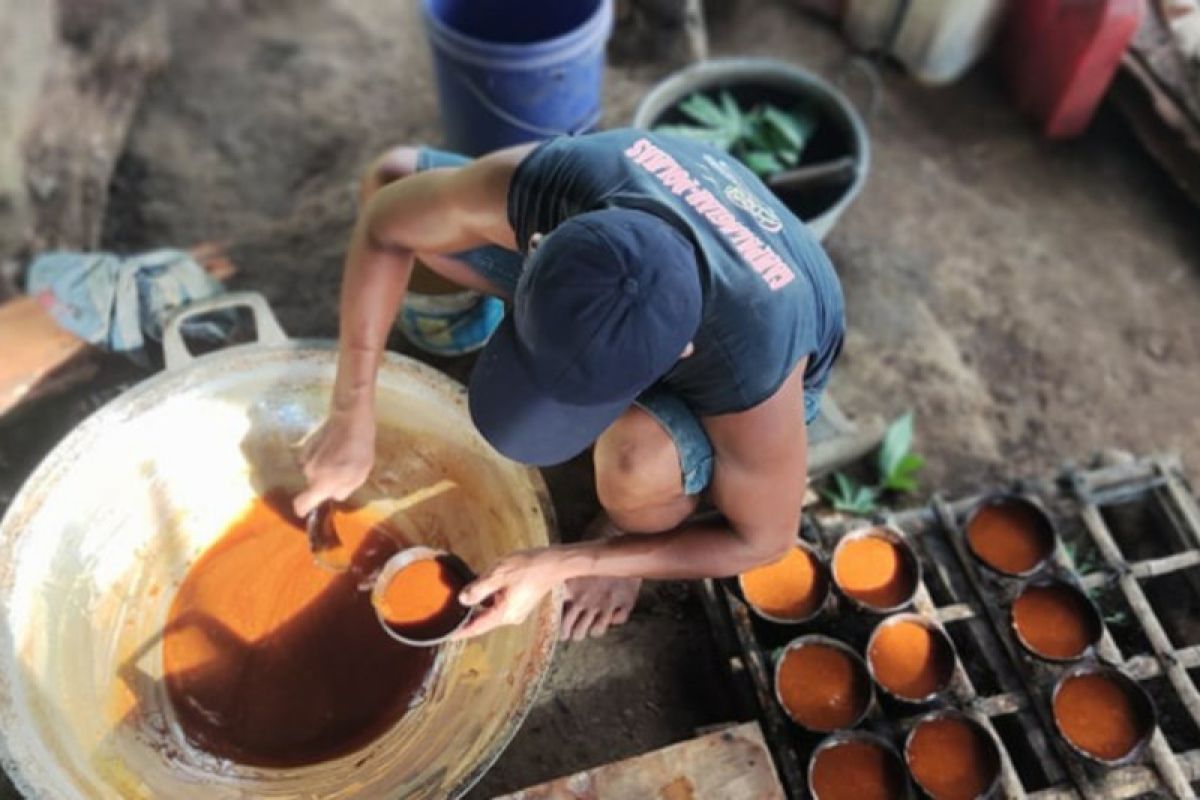 Komoditas gula merah Sulut laku di tiga negara