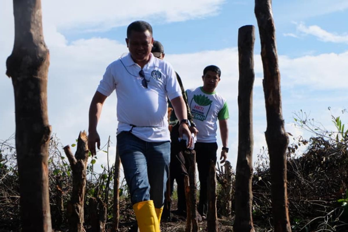 Izin tambang pasir kuarsa didelegasikan ke provinsi