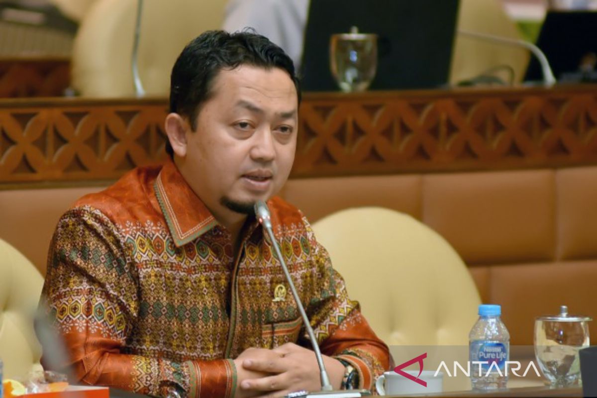 Kecam bentrokan Terantang, Syahrul: Usut aktor intelektual dalangi premanisme