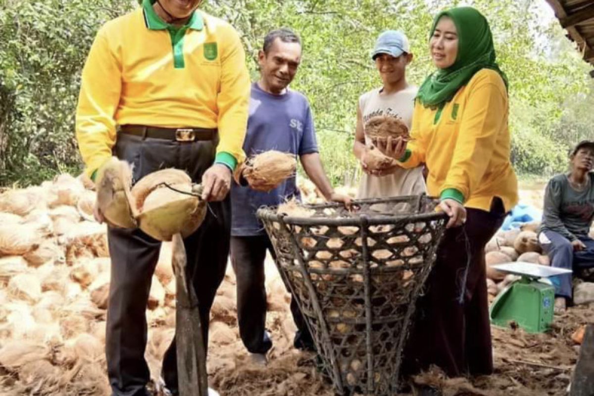 Masyarakat diminta manfaatkan buah kelapa menjadi produk minyak goreng