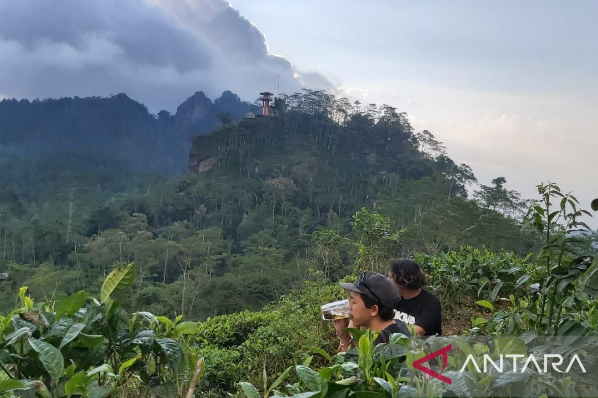 Objek wisata Kulon Progo siap sambut wisatawan saat Lebaran 2022