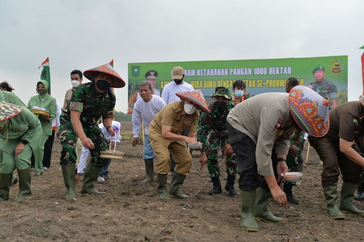 Gubri dan Danrem luncurkan program ketahanan pangan 1000 hektare di Kampar