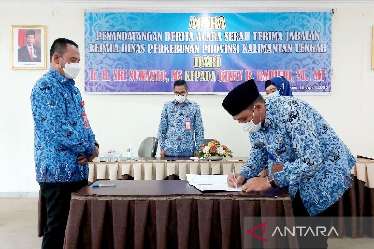 Optimalisasi sektor perkebunan pacu pertumbuhan ekonomi daerah