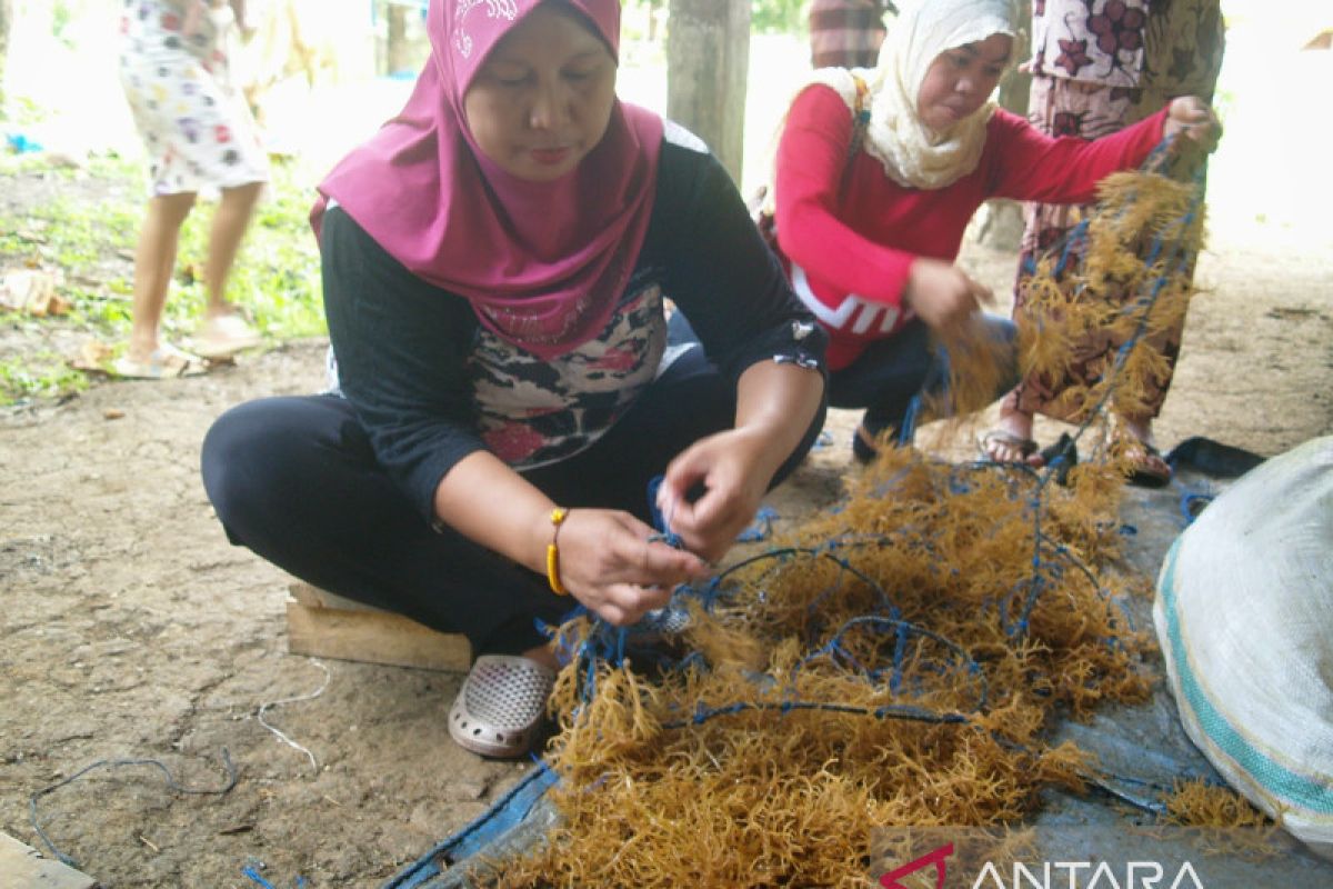 Catatan pinggir Kartini pejuang devisa  di Bone