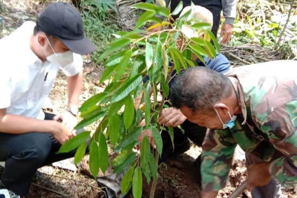 Warga terdampak tanam bibit durian dan alpukat di sabuk hijau Bendungan Bener