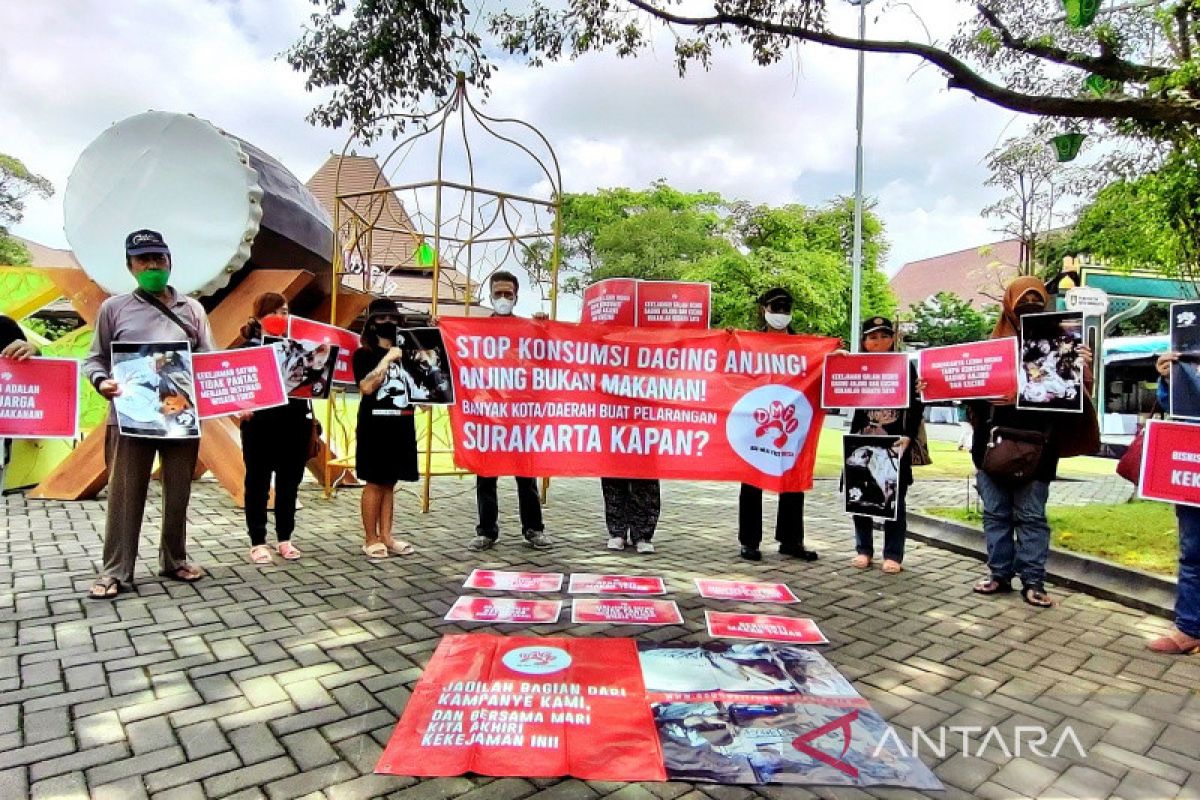 DMFI minta pemkot kaji ulang peredaran daging anjing