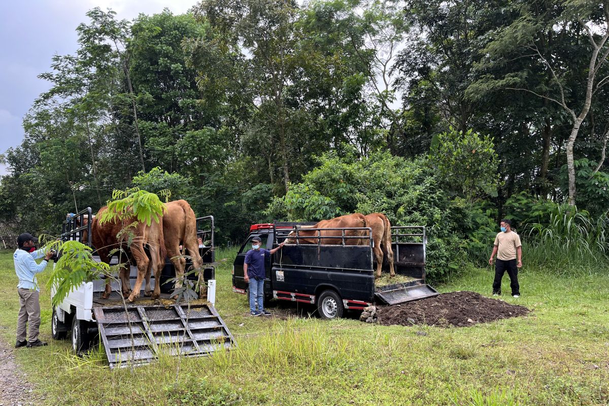 RI includes incorporated livestock evacuation in disaster management measures