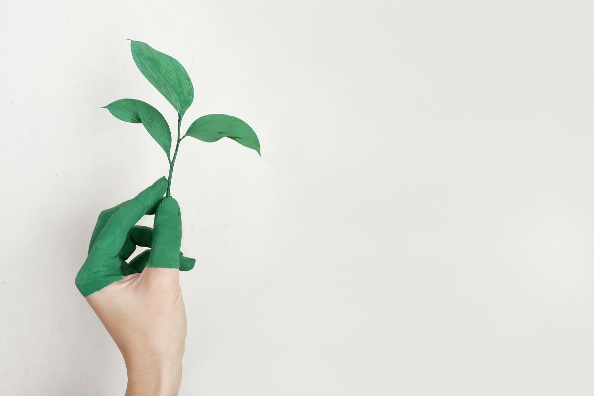 Unilever perkenalkan label "Easy Green" untuk produk ramah lingkungan