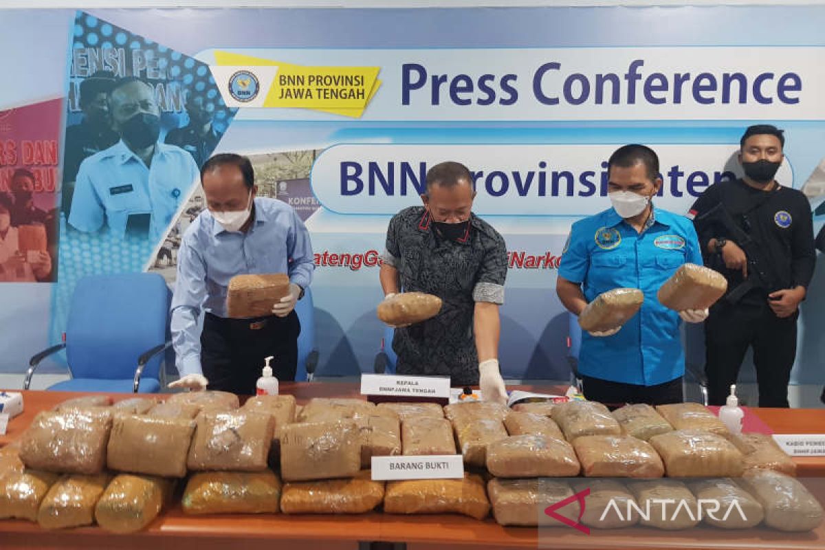 BNN Jawa Tengah gagalkan pengiriman 50 kg ganja asal Sumut