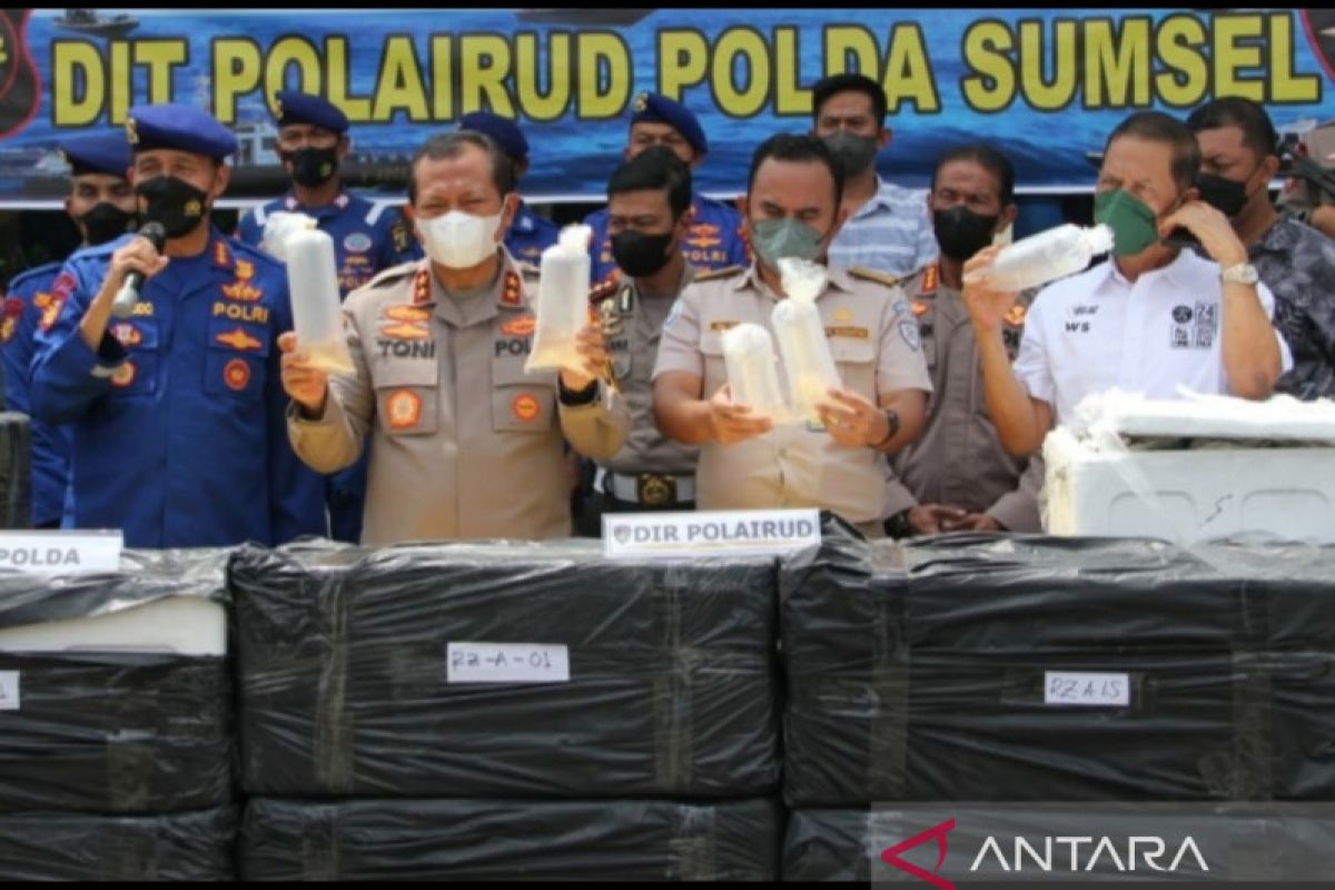 Tim Polair Polda Sumsel gagalkan penyelundupan 616.800 benih lobster