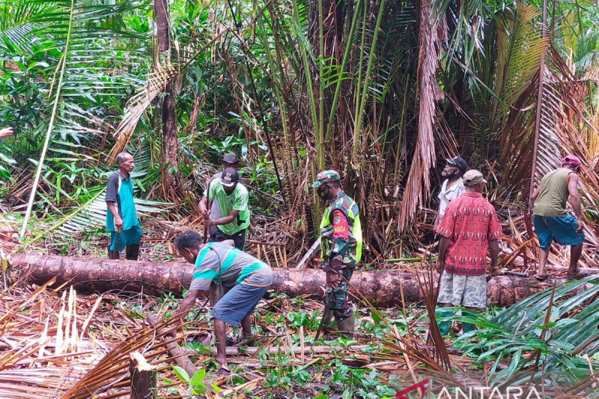 Babinsa tingkatkan kerja sama bantu warga Biak Barat olah sagu