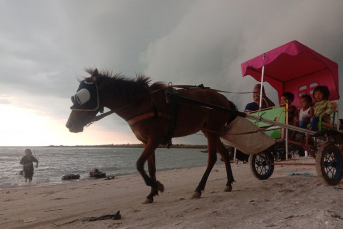 Lebaran, Pantai Kerang Mas di Lampung Timur ramai