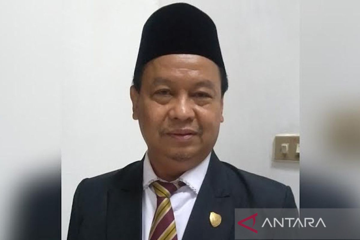 Legislator Kalteng berharap PAD pemprov Rp200 miliar per tahun