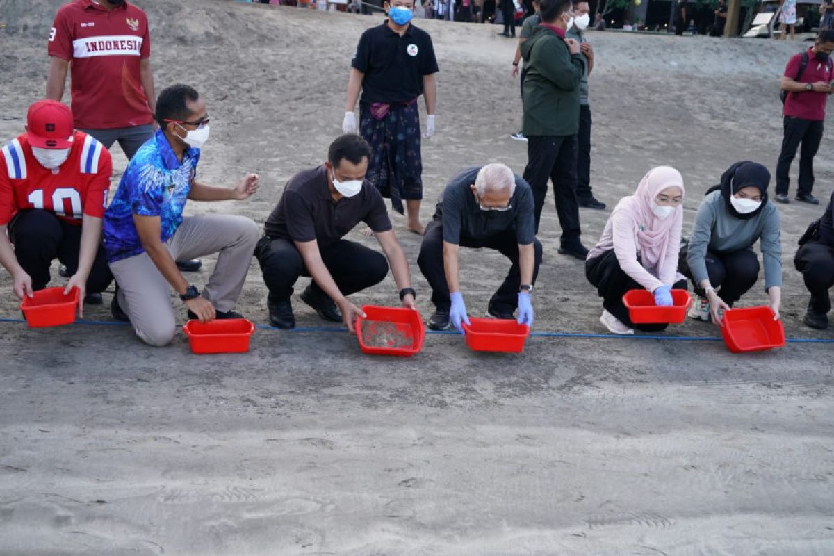 Wapres lepas anak penyu di Pantai Kuta Bali