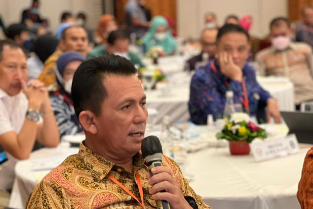 Rencana pemekaran Natuna-Anambas jadi provinsi dibahas di Bali