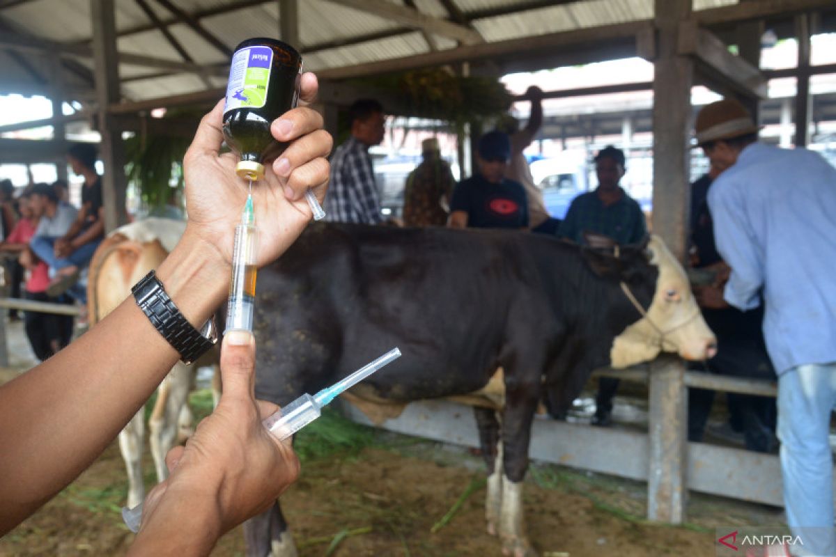 Cegah PMK, Pemprov Jateng bentuk unit reaksi cepat