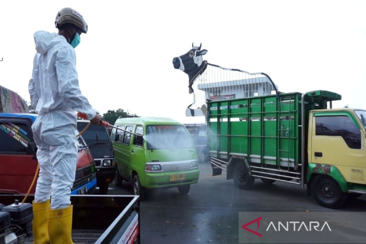 Cegah PMK, Pemkab Boyolali gelar penyemprotan disinfektan