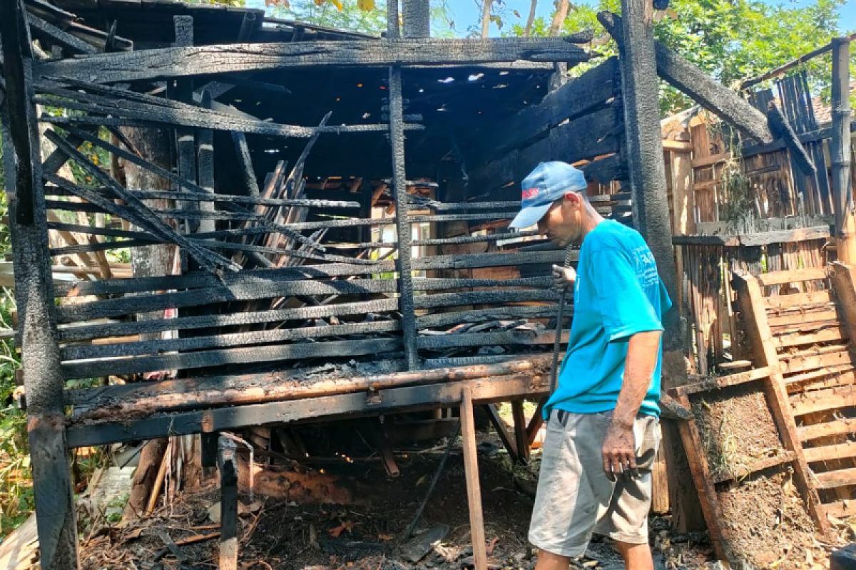 Peternak diminta hati-hati bakar sampah pengusir nyamuk di kandang