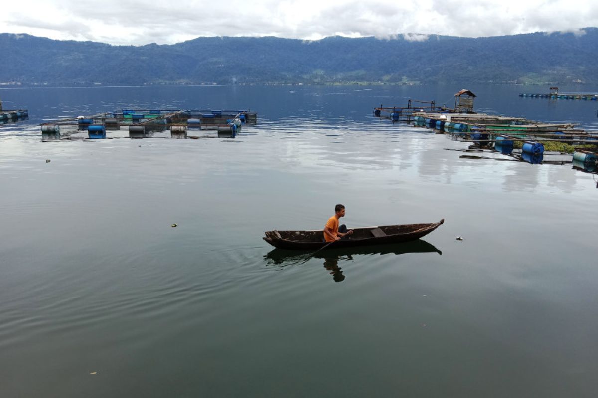 Dua kawasan di Danau Maninjau dijadikan lokasi konservasi ikan endemik