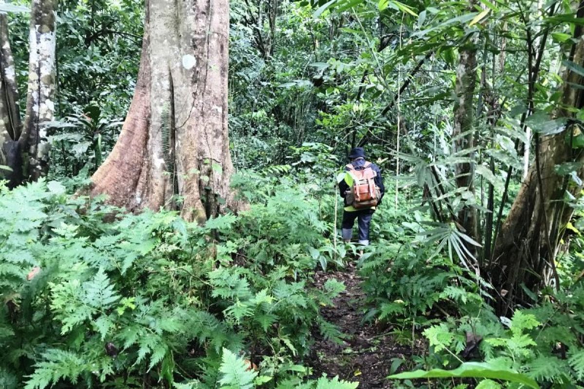 Dewan Adat Biak Papua minta warga kampung adat jaga kearifan lingkungan