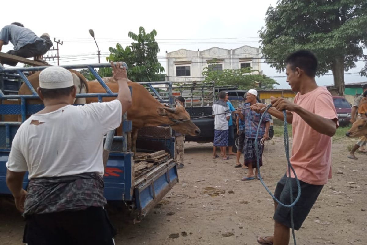 Distan sosialisasikan penutupan Pasar Hewan Kota Mataram