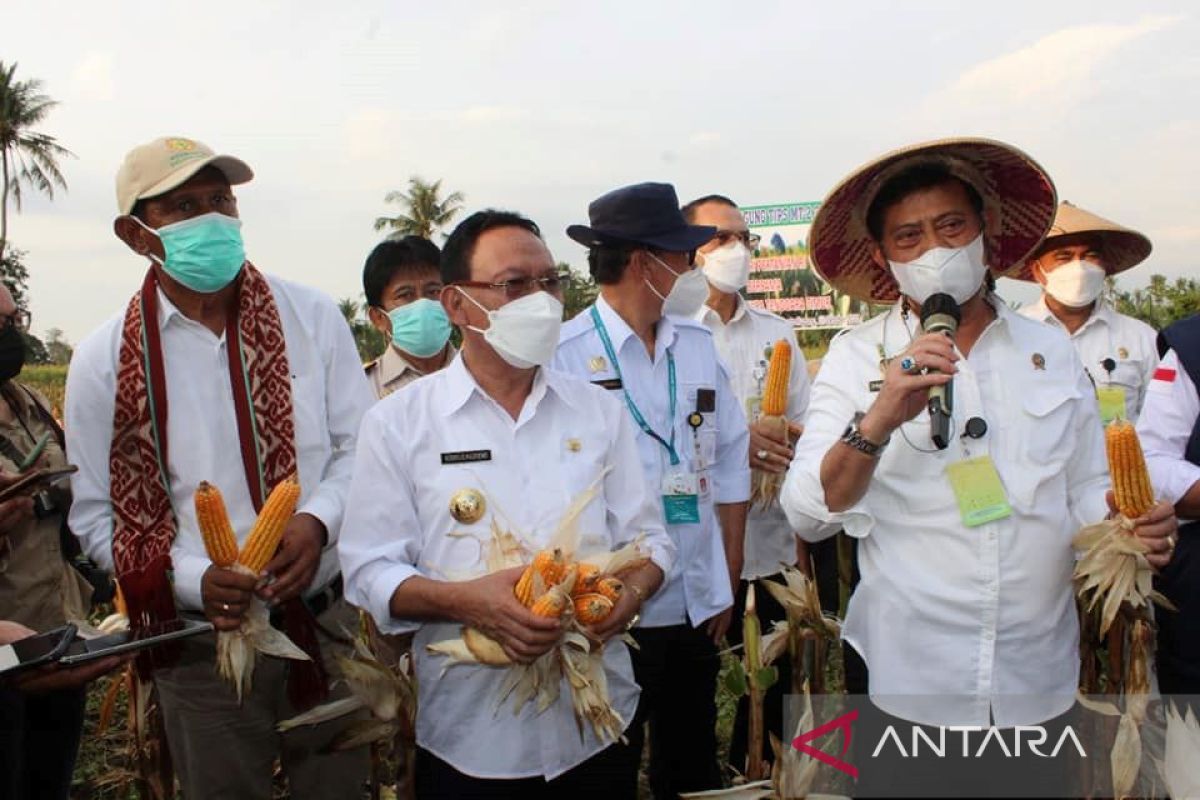 Selama dua bulan kasus positif COVID-19 di Kabupaten Kupang  nihil