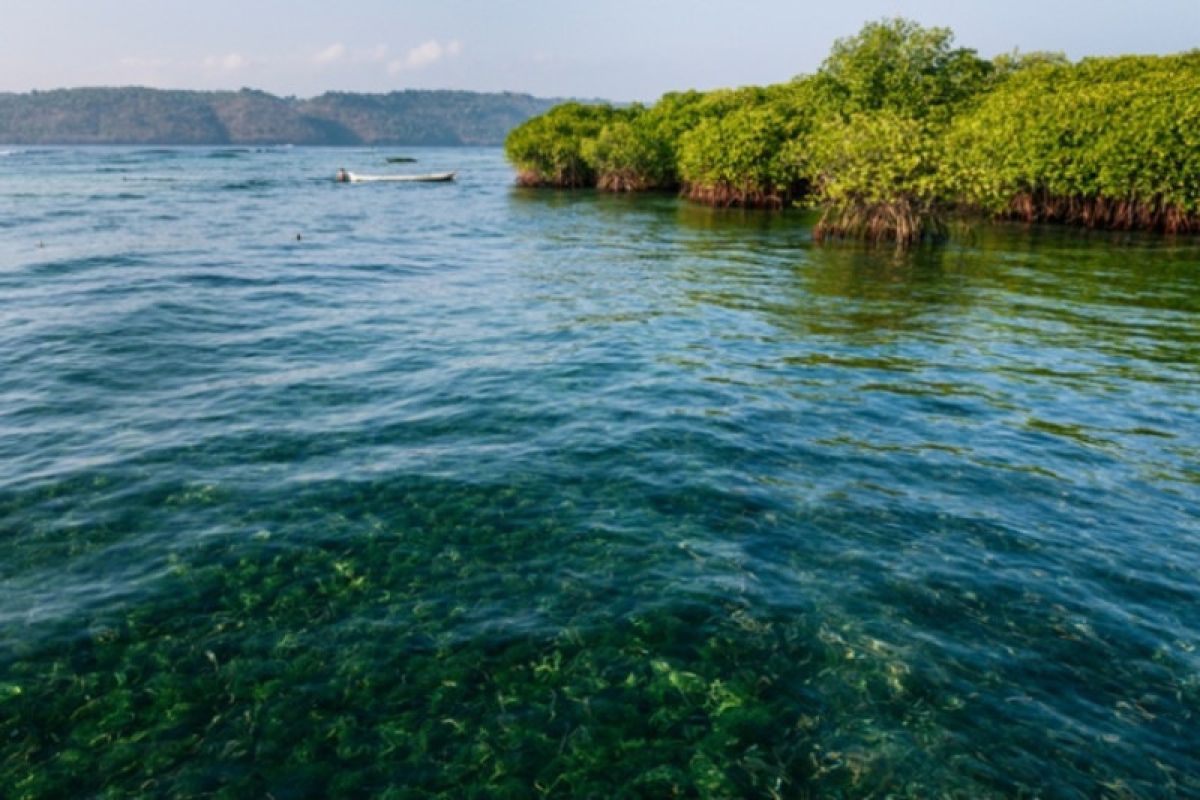 Lahan seluas 138.661,42 hektare di perairan Bintan jadi kawasan konservasi