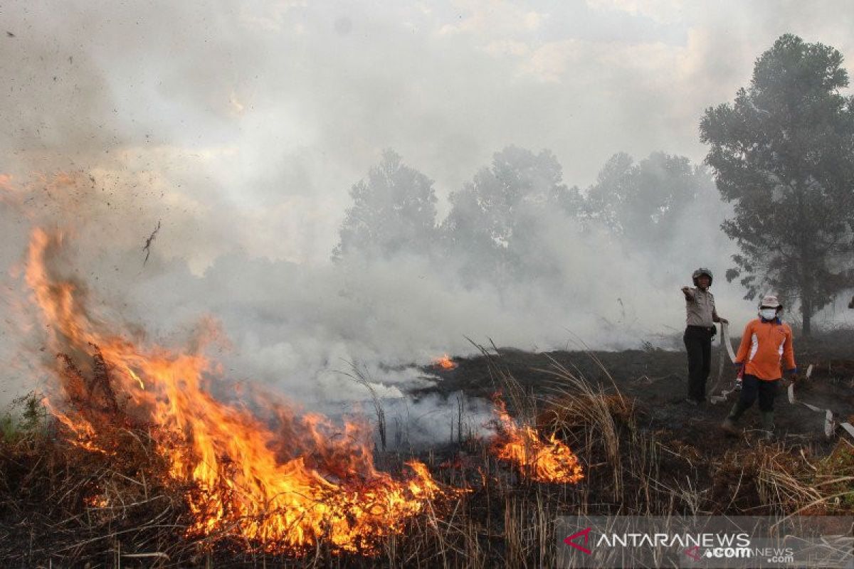 GPDRR 2022 - Menuju penanggulangan karhutla ber-SNI