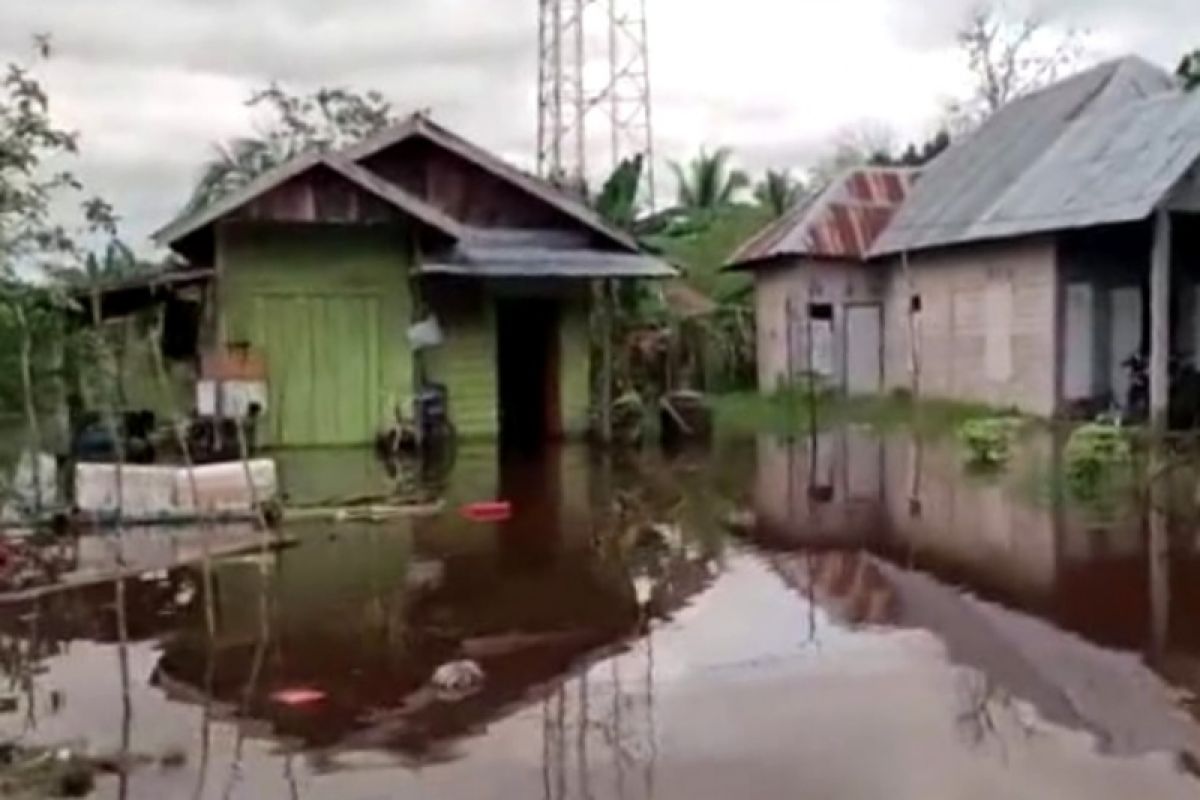 Blusukan ke lokasi banjir, legislator Kotim temukan warga belum terima bantuan