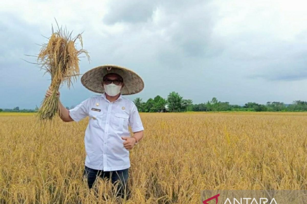 Bupati Morut: Sejumlah capaian berhasil diraih selama setahun