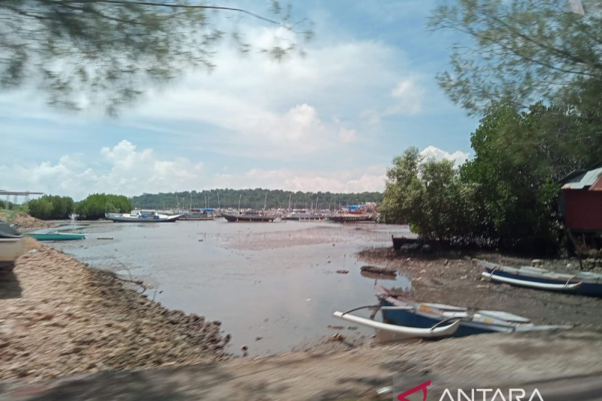 Pulau Lakkang  siap dibenahi menjadi destinasi unggulan Makassar