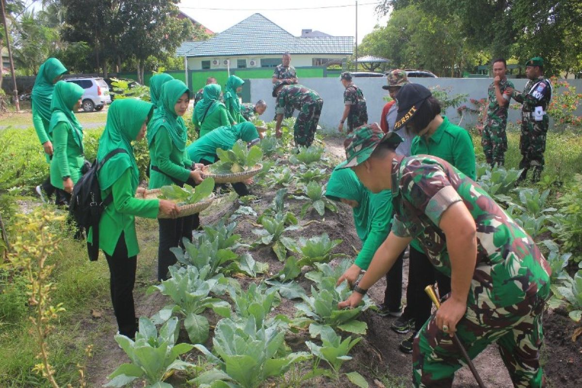 Kodim 1016 perkuat ketahanan pangan prajurit melalui budi daya tanaman