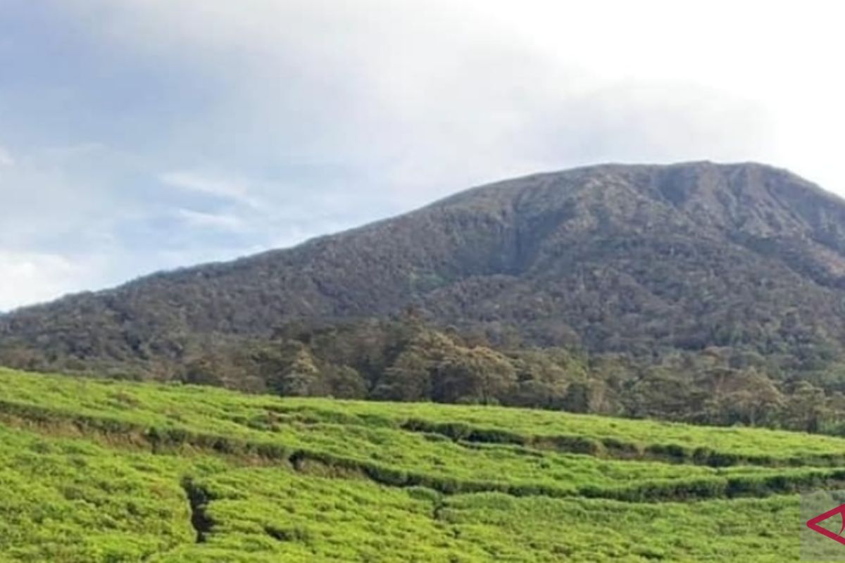 Gunung Api Dempo Pagaralam aman untuk pendakian